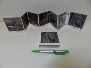 Obrázek z Leporelo Les 8x9cm 